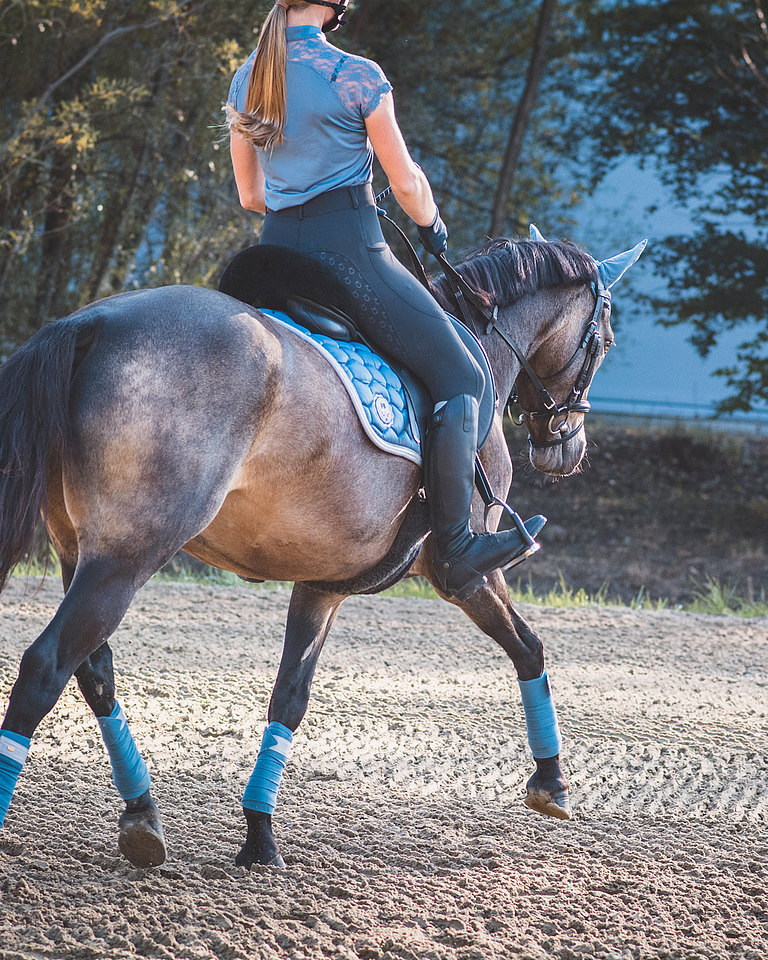 reiten-fortgeschrittene.jpg
