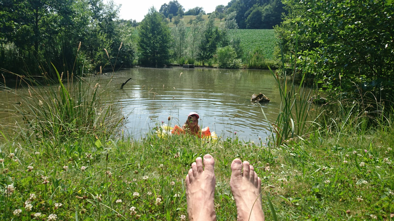 Teich.png